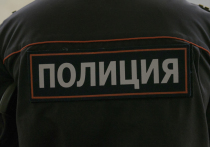 Один из пассажиров рейса Мурманск — Москва авиакомпании "Смартавиа" заявил о том, что якобы у него в ручной клади находится опасный предмет, из хулиганских побуждений