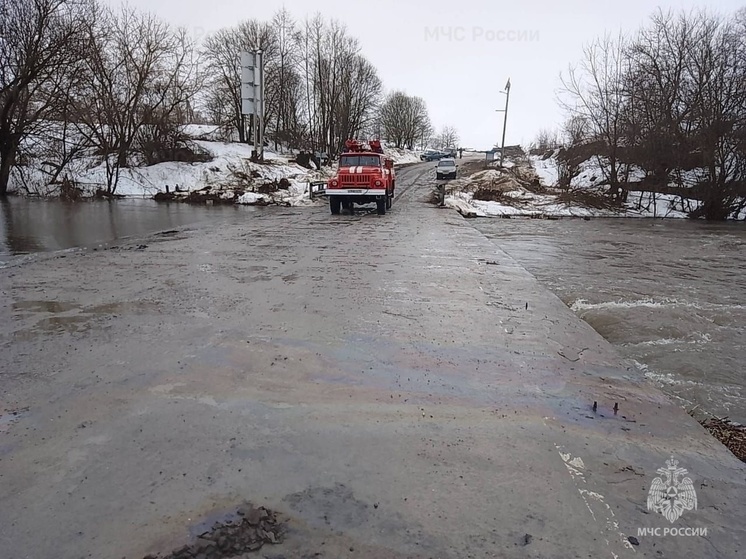 В Тульской области паводком подтоплен первый низководный мост