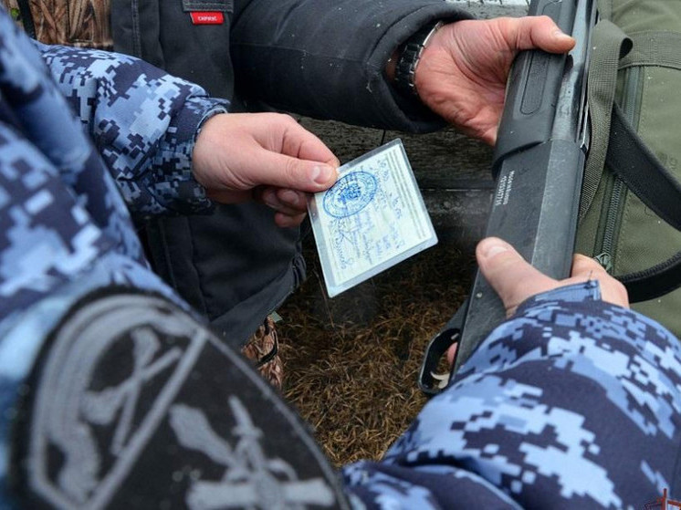 В Тамбовской области за неделю изъяли 5 единиц нелегального оружия