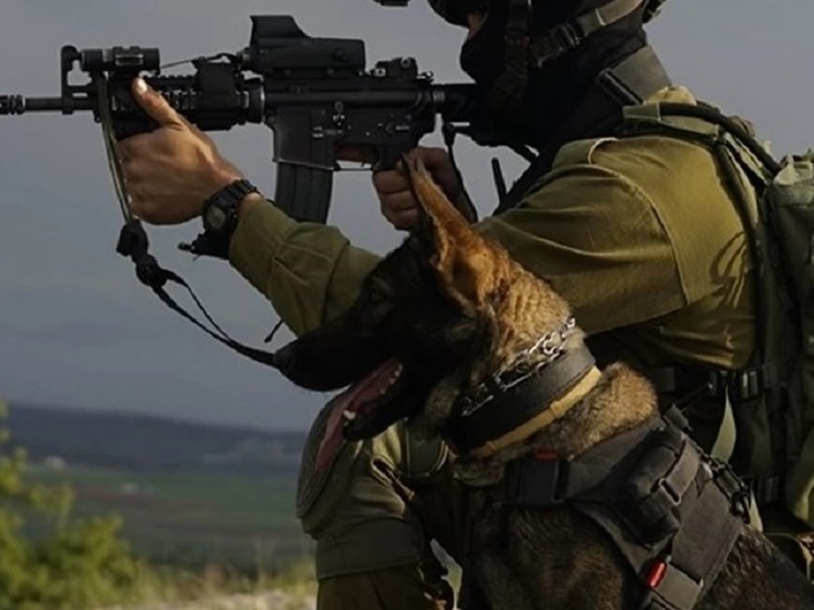 ЦАХАЛ: Израиль подтвердил ликвидацию замкомандующего боевым крылом ХАМАС