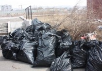 Один из участников состоявшегося в администрации Читы заседания ассоциации советов общественности предложил перестать пользоваться мешочным сбором мусора и установить в частном секторе контейнеры