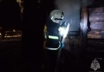 В селе Анисимово Тальменского района сгорел частный жилой дом. Пожар унес жизни двух женщин, сообщает ГУ МЧС России по Алтайскому краю. 