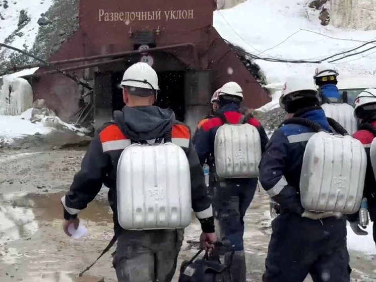 Управляющий директор рудника "Пионер" в Приамурье отправлен под стражу