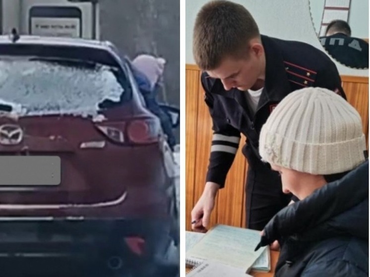 Томичка заплатит 3 тысячи рублей за высунувшуюся в окно машины дочь