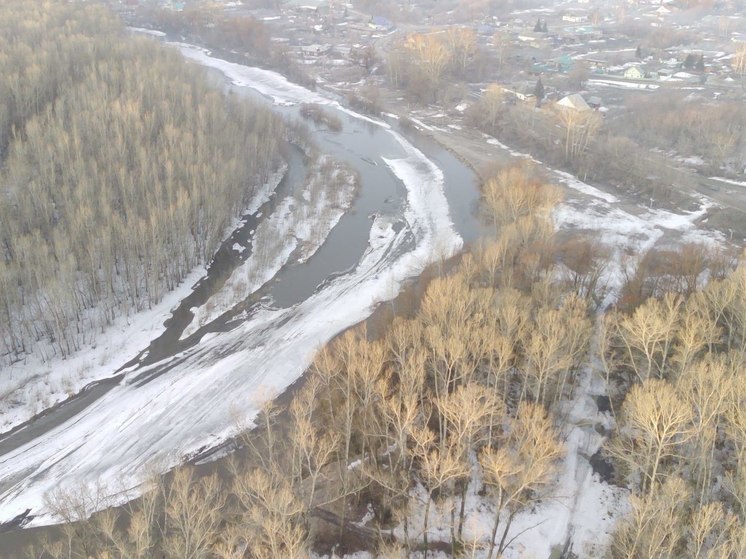 Уровень воды в реках Алей и Чарыш Алтайского края подходит к критическим отметкам
