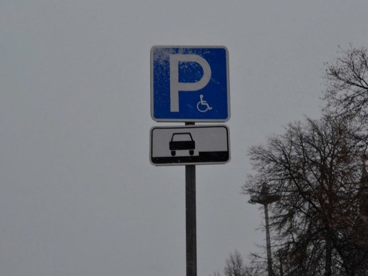 В Туле временно прекратил работу сервис по оплате парковки