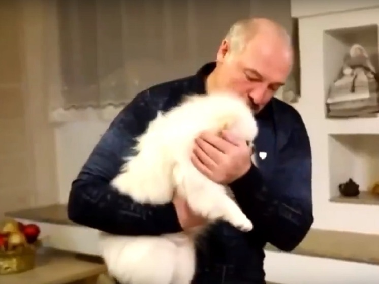 Зоозащитники рекомендовали Александру Лукашенко посадить на диету его любимого пса Умку
