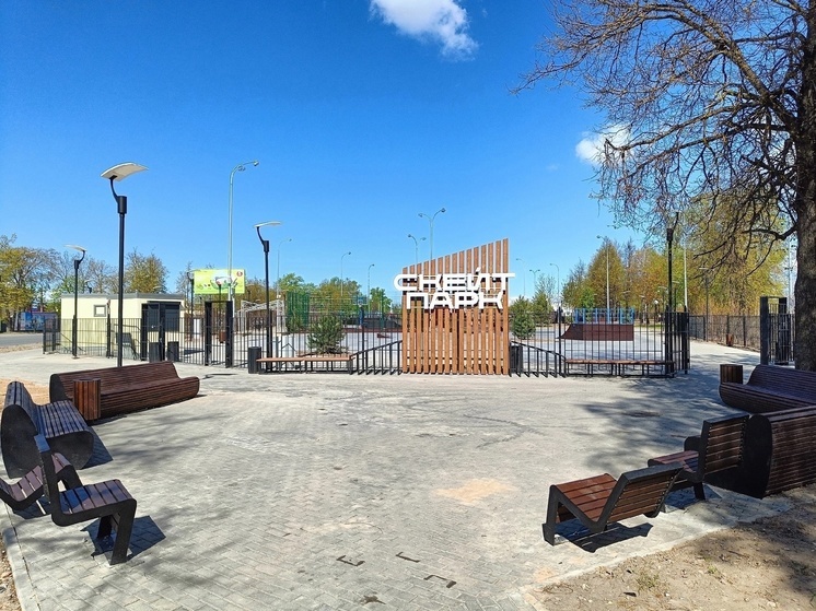 Скейт-парк на улице Леона Поземского в Пскове будет закрыт 27 марта