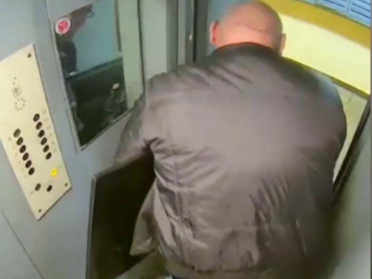 Московского гастролера задержали за ограбление квартиры в Дмитрове