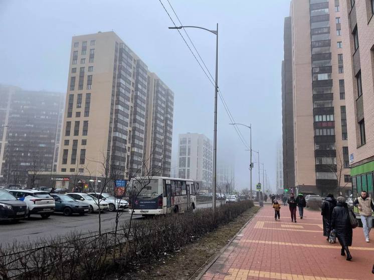 Туман и до +10 градусов: какая погода будет в Ленобласти 27 марта