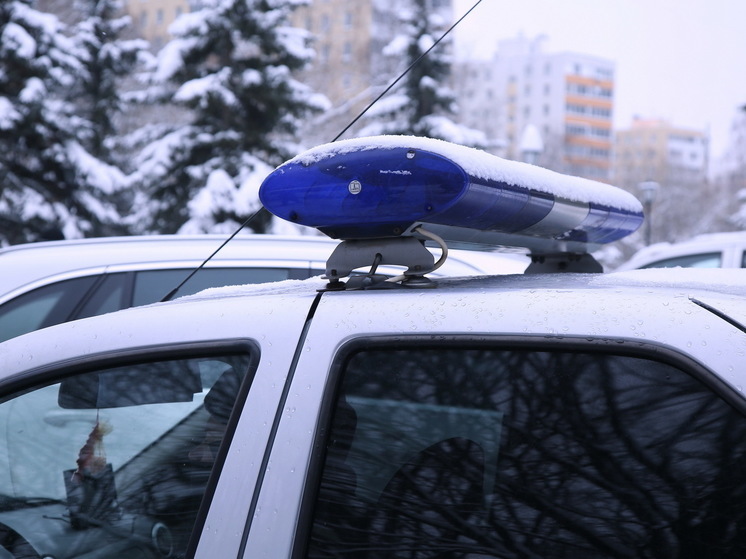 Труп женщины обнаружили в Подмосковье под растаявшим снегом