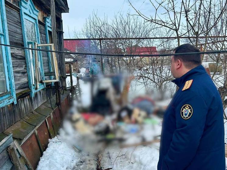Пожар в Петровске унёс жизнь пожилой женщины