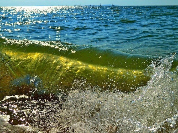 Евгений Балицкий сообщил о создании программы оздоровления Азовского моря