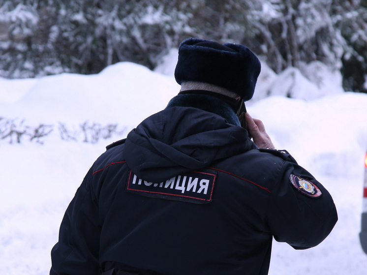 Трупы мужчины и женщины обнаружены в квартире на западе Москвы