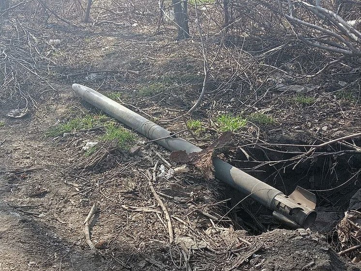 Росгвардейцы обезвредили взрывоопасные предметы в Запорожской области