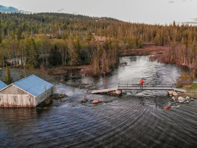 Уровень воды в реках Тамбовской области повысился до 58 см за сутки