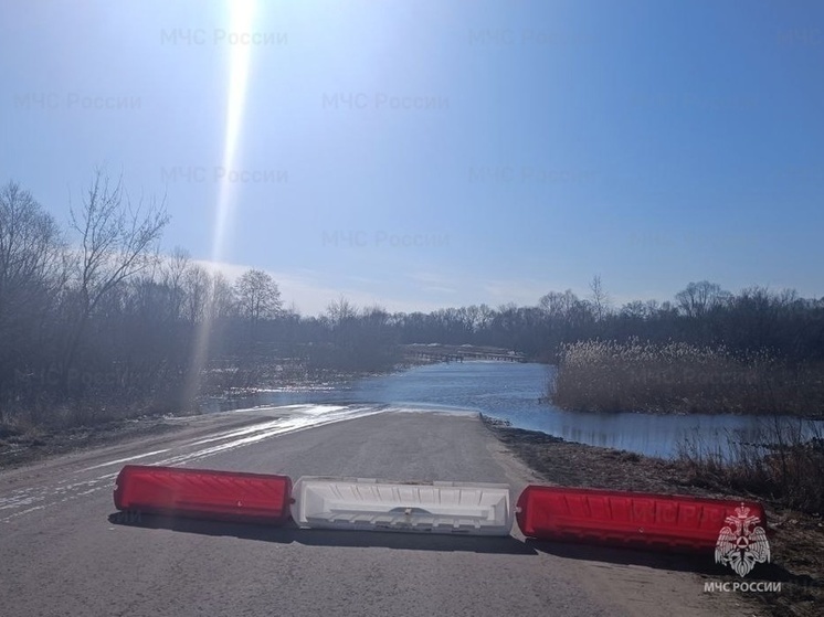 Еще один мост ушел под воду в Жердевском округе