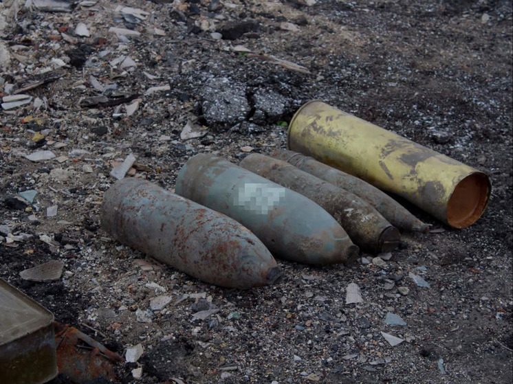 В селе Рыково полиция нашла и уничтожила боеприпасы ВСУ