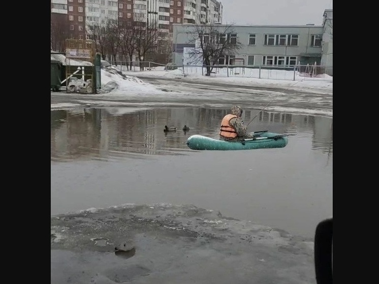 Утки облюбовали один из дворовых «водоемов» в Кемерове