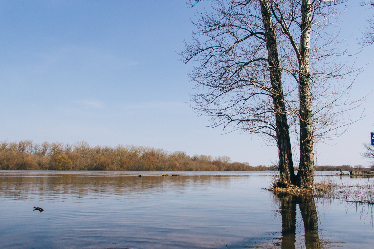 Под водой рязань. Ока река Рязань разлив. Пойма Оки Рязань. Разлив на Оке Рязань.