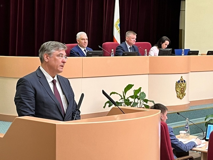 Роман Чуйченко остался главой информкомитета Саратовской облдумы