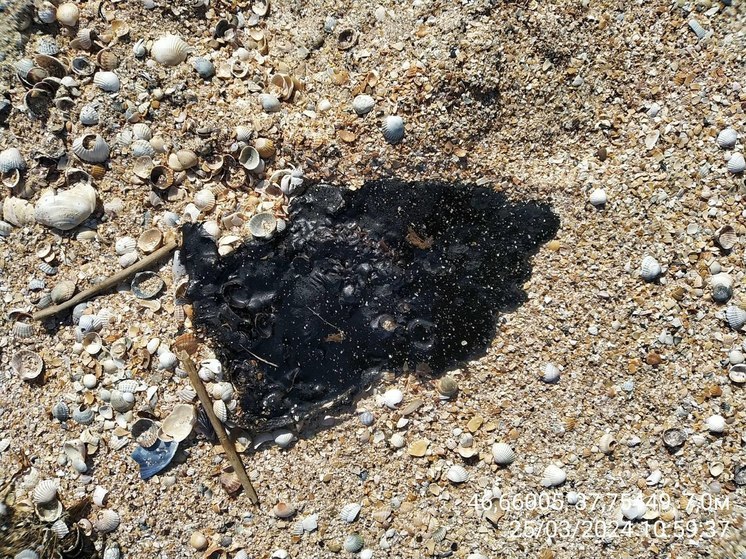 В Ейском районе на территории ООПТ обнаружили фрагменты отходов нефтепродуктов