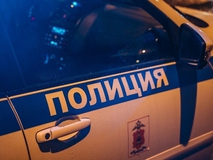 Полиция Петербурга задержала клиента шиномонтажа за стрельбу в автослесаря