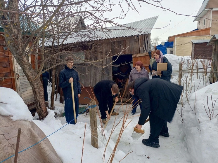 Владимирские студенты помогают семьям участников СВО