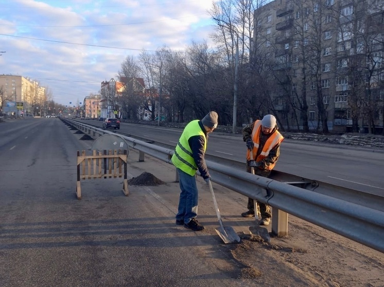 В Ярославле обещают убрать и пропылесосить городские улицы