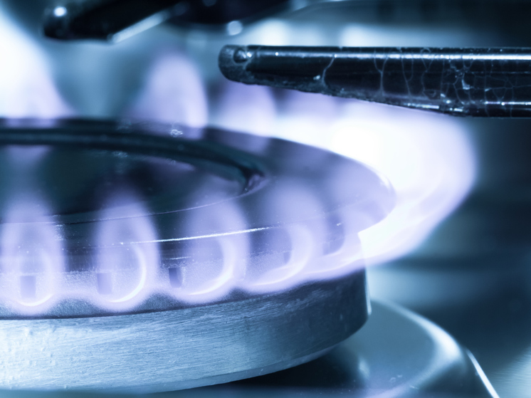 Жители НАО могут бесплатно провести газ до земельного участка