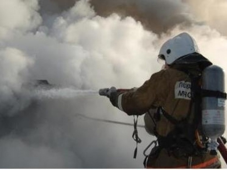 Пожарные спасли хозяйку горевшего гаража в деревне Сухушино Томской области