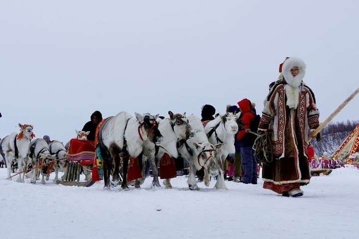 For the first time, ethnobiathlon and hockey in national clothes will be held in Aksarka on Reindeer Herder Day