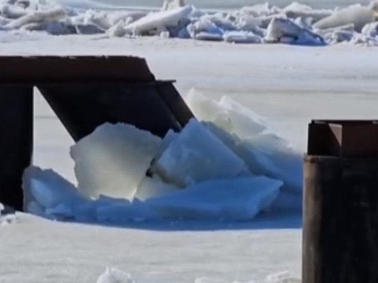 Лед тронулся: Ока в Подмосковье сбрасывает ледяной панцирь