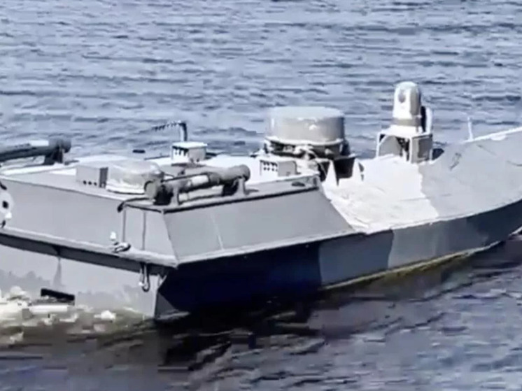 На Кинбурне уничтожили морской дрон-камикадзе ВСУ