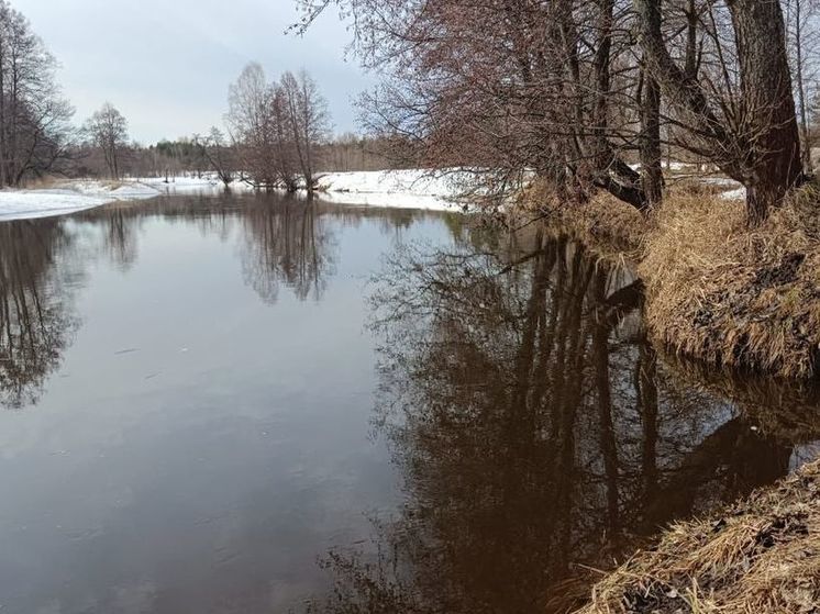 Спасатели следят за ситуацией с уровнем подъема воды в регионе