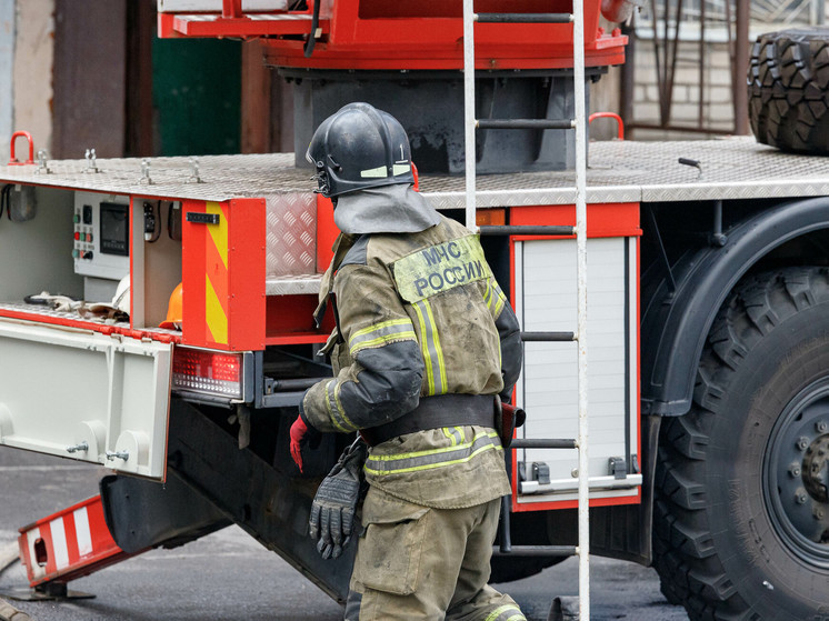 Два жилых дома сгорели в Псковской области 27 марта