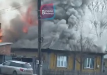 В селе Веселоярск Рубцовского района вспыхнул жилой одноэтажный дом. Видео с кадрами пожара опубликовали очевидцы в тг-канале «В курсе 22». 
