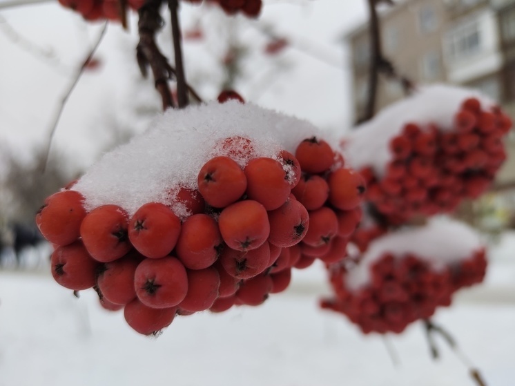 На смену теплу в Омскую область придут снегопады и похолодание