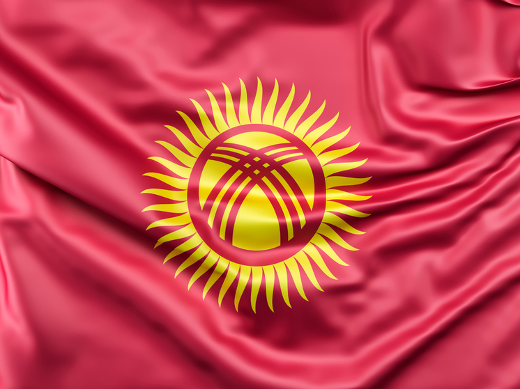 Минтруд Киргизии предупредил граждан о вербовке для терактов через соцсети