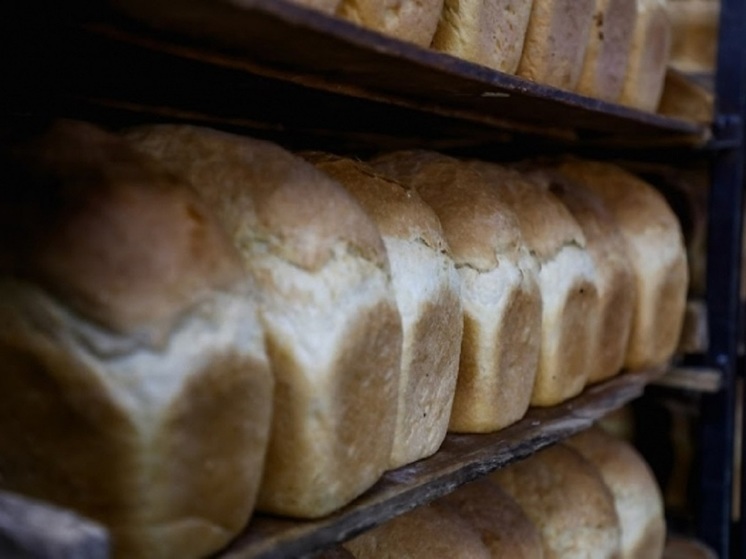 На стихийной свалке в Волгограде заметили выброшенные буханки хлеба