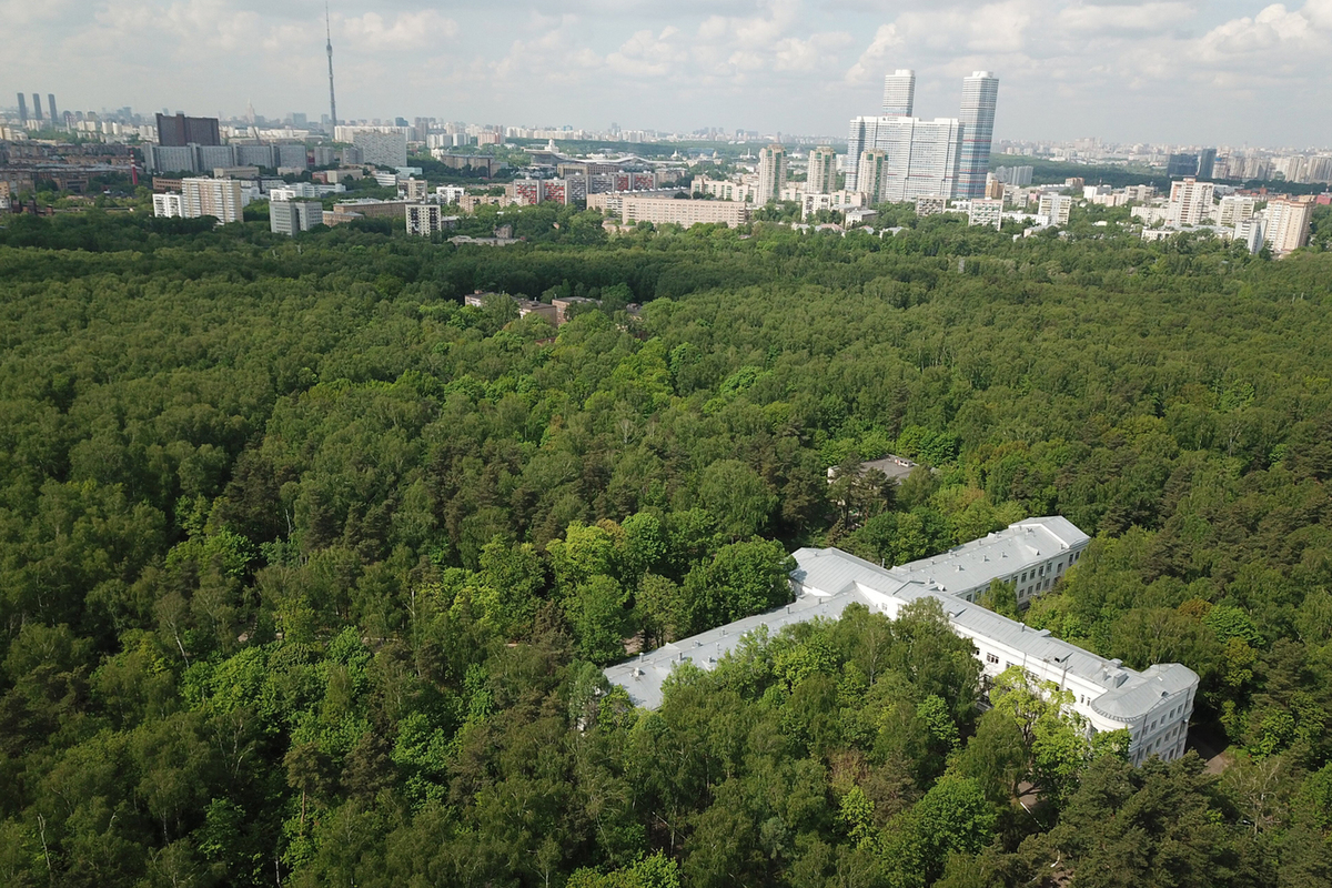 The best Moscow parks with new buildings within walking distance have been named