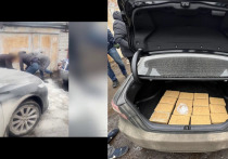 Сотрудники Федеральной службы безопасности (ФСБ) в северной столице задержали мужчину, при котором обнаружили партию кокаина весом не менее 15 кг