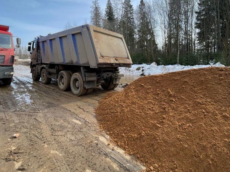 Незаконный песчаный карьер обнаружили в Химках