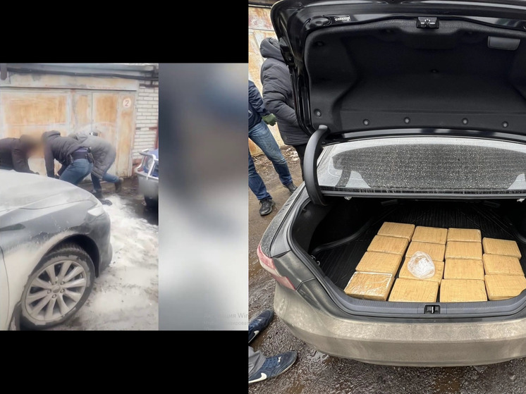 ФСБ арестовала члена наркокартеля с 15 кг кокаина, оружием и поддельными документами