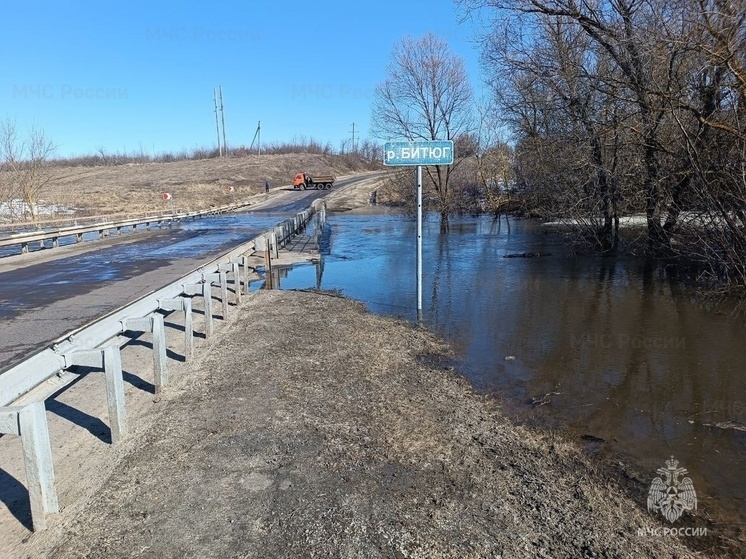 В Мордовском округе Тамбовской области затопило мост