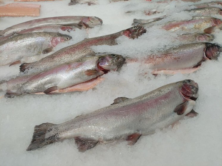 Как по маслу: петербургская товарная биржа начнет торговать мясом и рыбой