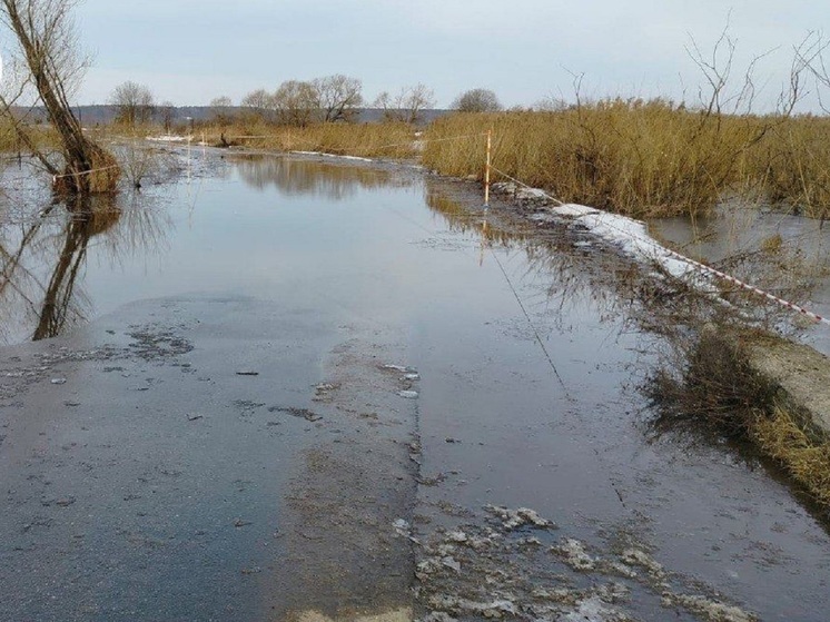 Из-за резкого разлива Угры в Калужской области от большой земли отрезало деревню