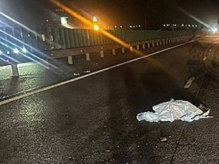 На трассе М-4 «Дон» насмерть авто сбило пешехода