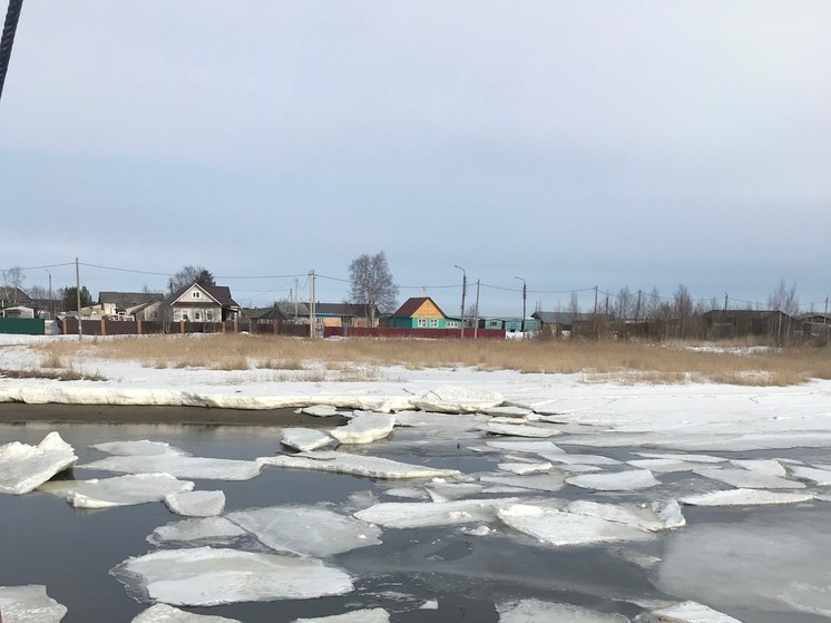 В островной части Северодвинска дети играли на льду реки