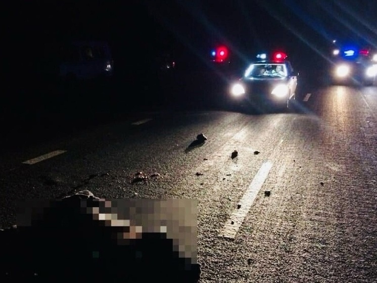 Водитель Нивы наехал на лежащее тело на дороге в Курганской области